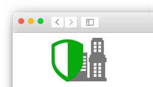 Extended SSL certificate - browser