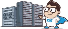 Dedicated Server