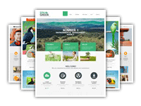 Graphic templates