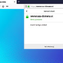 Display of SSL certificate in Mozilla Firefox browser